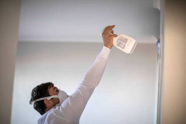 Trusted Truckee, CA Mold Removal Experts