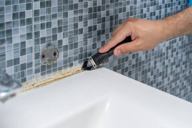 Best Best Mold Removal Companies  in Truckee, CA