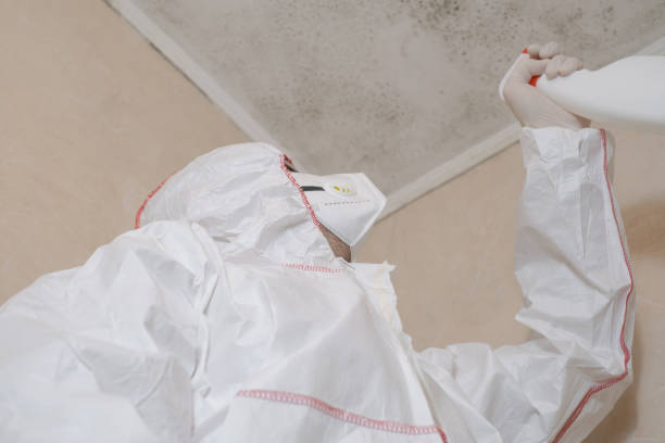 Best Crawl Space Mold Removal  in Truckee, CA